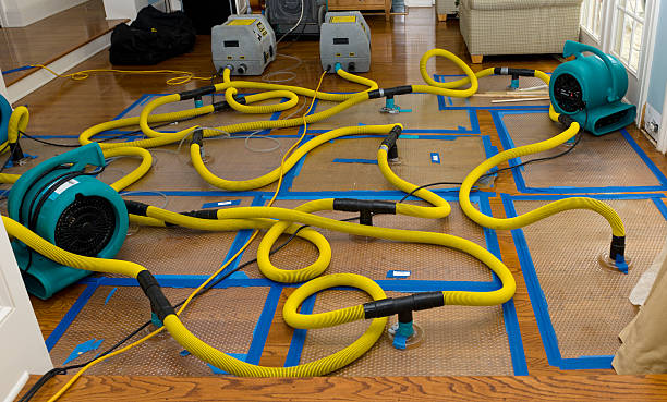 Professional Crawl Space Water Removal technician working in Hopkins, MI